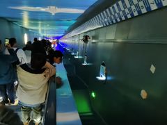 -白鹤梁水下博物馆