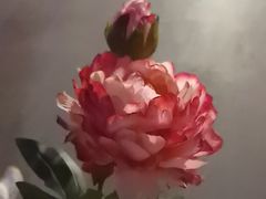 -洛阳市隋唐城遗址植物园