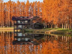 -黄海国家森林公园