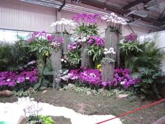 -东南花都花博园