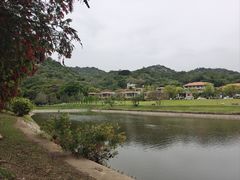 -厦门国家会计学院