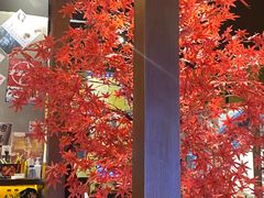 -白石的深夜食堂(济南万象城店)