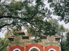 -北京国子监胡同