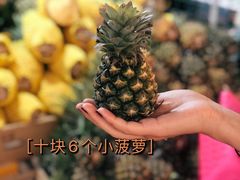 -三亚新鸿港水果一级批发市场