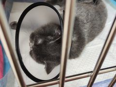 -宠颐生宠物医院(·宠保定点·鹰潭分院)
