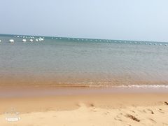 -林海公园