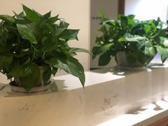 -冬日中医馆(枋湖店)