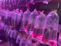 -中环花鸟鱼虫市场