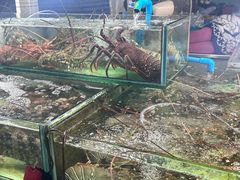 -班赞海鲜市场