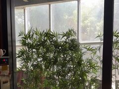 -金成潮菜博物馆(海珠湿地店)