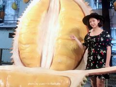 -都念榴莲·城市榴莲