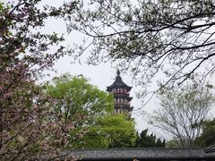 -绳金塔
