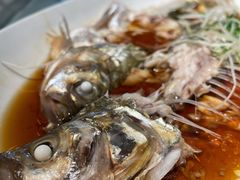 白条鱼-春暖花开(西溪店)