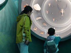 -中国湿地博物馆