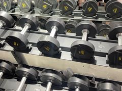 -健身专家Wellness Experts