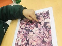 -斯坦星球AI编程·机器人科创·科学实验·信奥·思维·STEM·积木拼搭·竞赛考级(浦东联洋广场大拇指龙阳御桥中心)