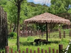 -沈阳森林动物园