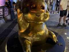 -星光大道