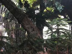 -龙达温泉生态城