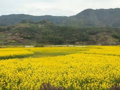 -婺源风景区