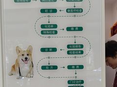 -瑞派康怡24h宠物医院·犬猫医疗中心·微创绝育(瑞景分院)