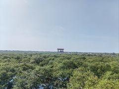 -北海金海湾红树林生态旅游区