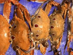 -瑞德姆美人鱼海底演艺主题餐厅(亚龙湾店)