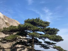 -天柱山风景区