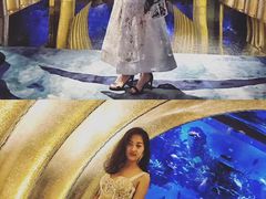 -迪拜帆船酒店海底餐厅