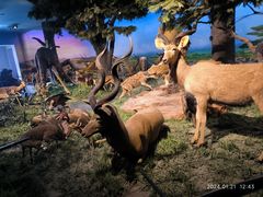 -国家自然博物馆