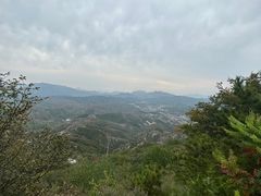 -仙螺岛海鲜自助餐厅(总店)