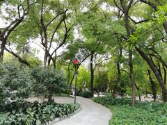 -晓港公园