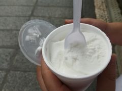 -洪馨椰子