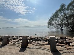 -宝安西湾红树林湿地公园