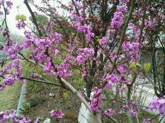 -临武万客隆国际购物广场(晴岚路店)