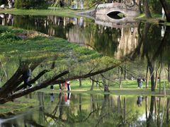 -上海共青森林公园