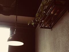 -醉得意(济南万达店)