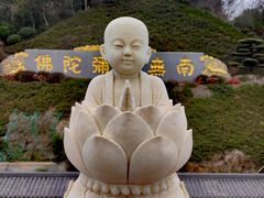 -庐山风景名胜区-东林大佛