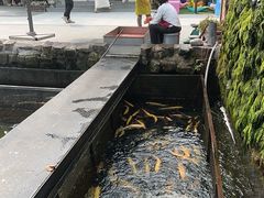 -京北渔家傲