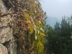 -福建泉州仙公山风景名胜区