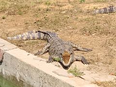 -南京金牛湖风景区
