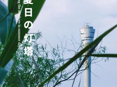 -上海吴淞炮台湾国家湿地公园