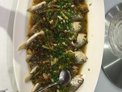-沪碟·精菜坊(闵行店)