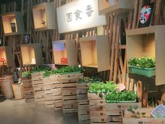 -番食园鲜食火锅(高新店)