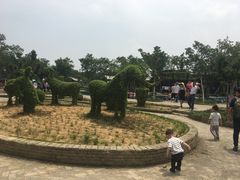 -武汉紫薇都市田园