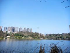 -重庆彩云湖湿地公园