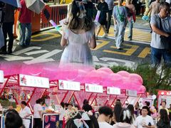 -荷兰花海