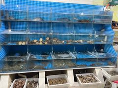 水产区-宾朋海鲜特色美食餐厅·纯手工鲅鱼水饺(兴海路店)