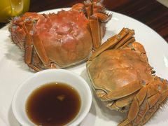 -广州万富希尔顿酒店-感趣自助餐厅·生蚝海鲜刺身