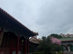 -珠海圆明新园